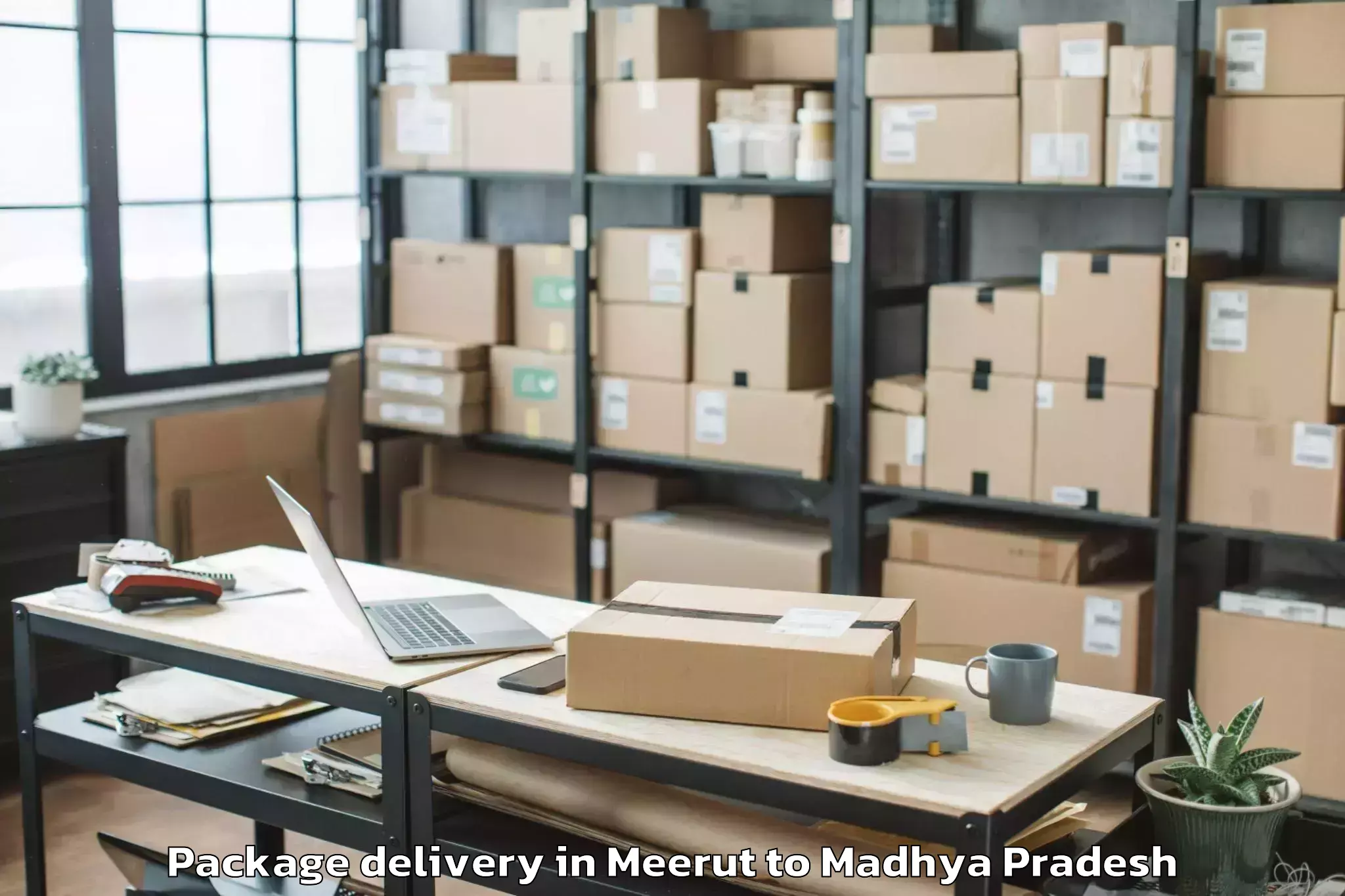 Quality Meerut to Shivpuri Package Delivery